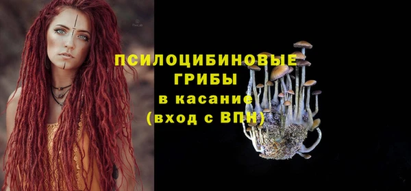 гидра Осинники