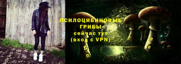 apvp Абаза